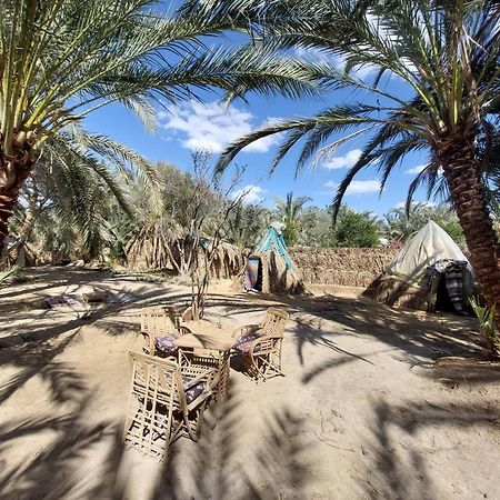 Forest Camp Siwa - كامب الغابة Siwa Oasis Екстер'єр фото