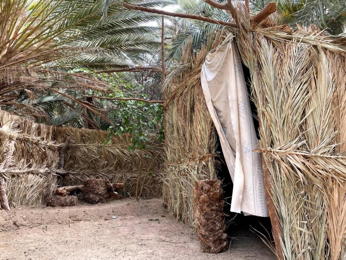 Forest Camp Siwa - كامب الغابة Siwa Oasis Екстер'єр фото