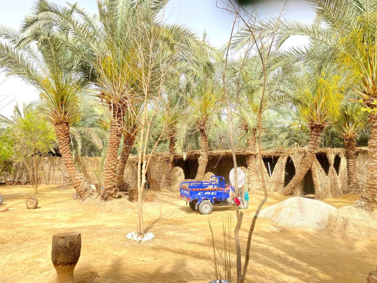 Forest Camp Siwa - كامب الغابة Siwa Oasis Екстер'єр фото