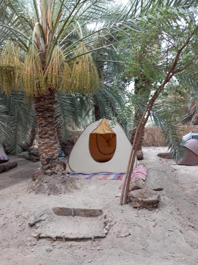 Forest Camp Siwa - كامب الغابة Siwa Oasis Екстер'єр фото