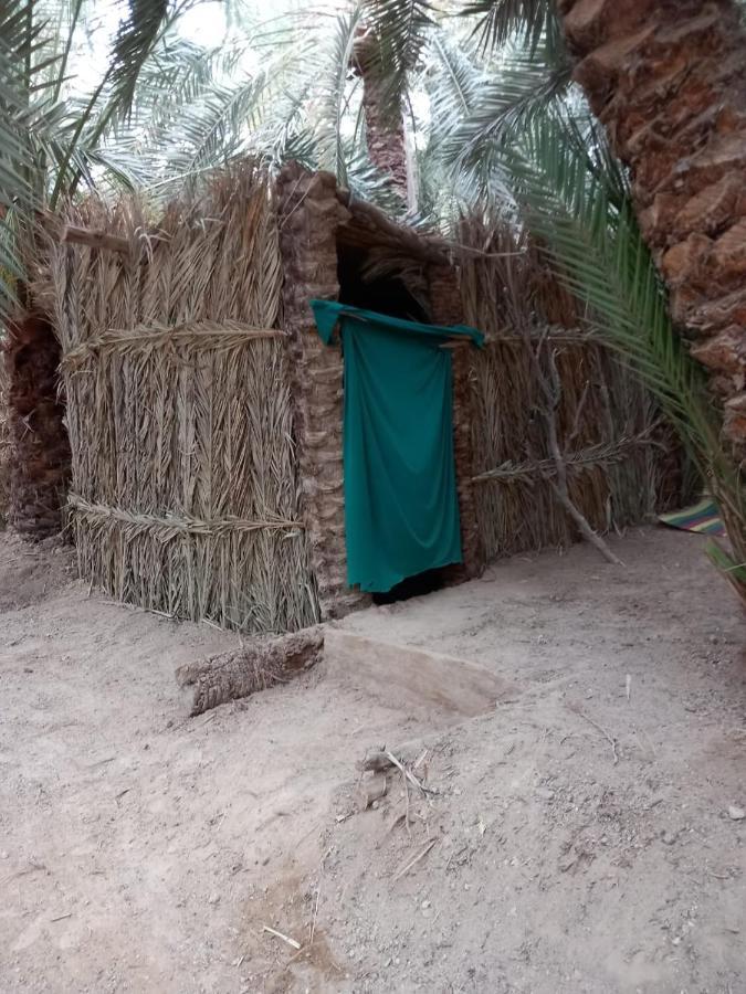 Forest Camp Siwa - كامب الغابة Siwa Oasis Екстер'єр фото