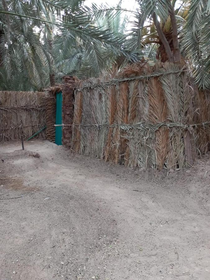 Forest Camp Siwa - كامب الغابة Siwa Oasis Екстер'єр фото