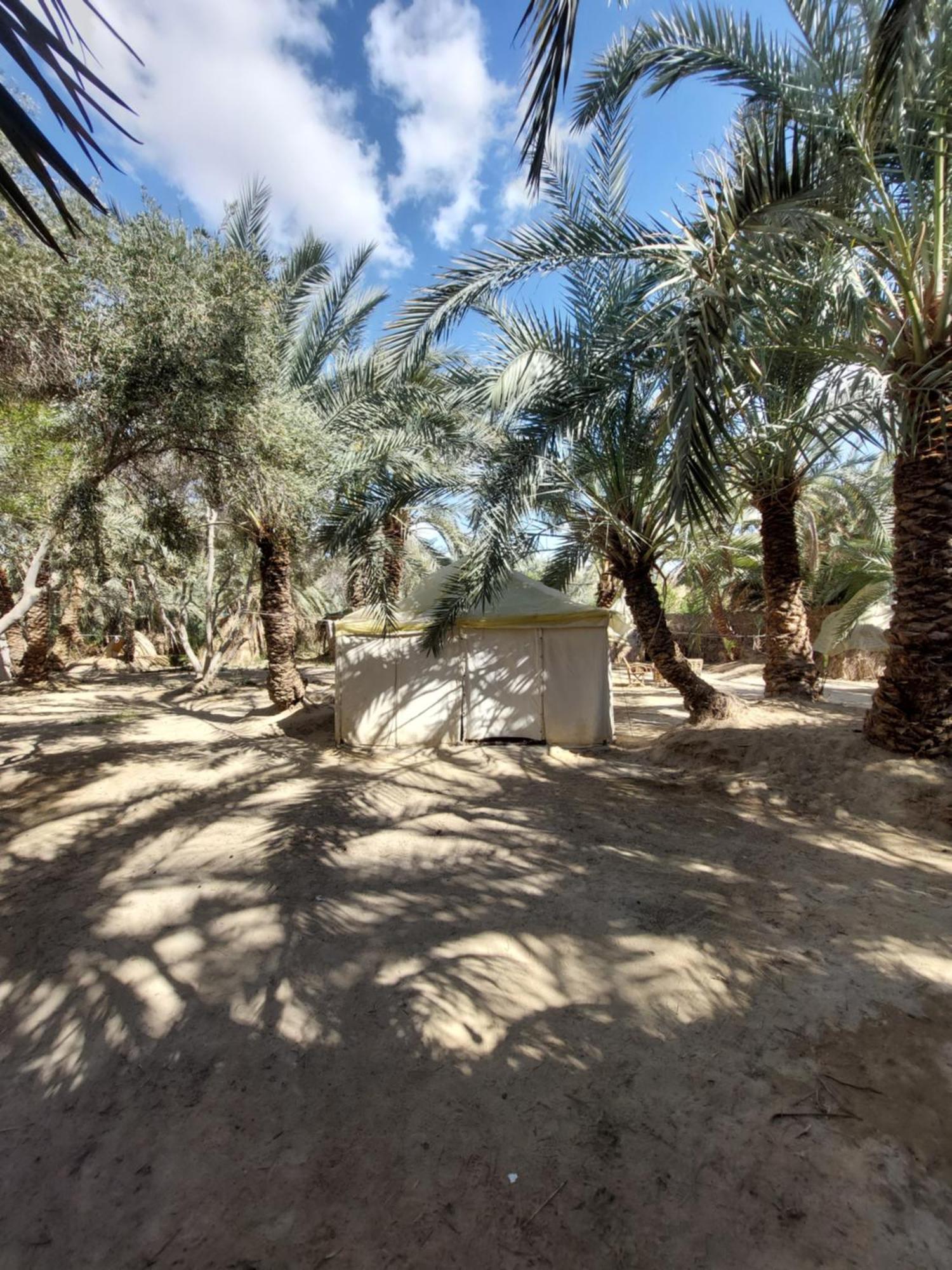 Forest Camp Siwa - كامب الغابة Siwa Oasis Екстер'єр фото