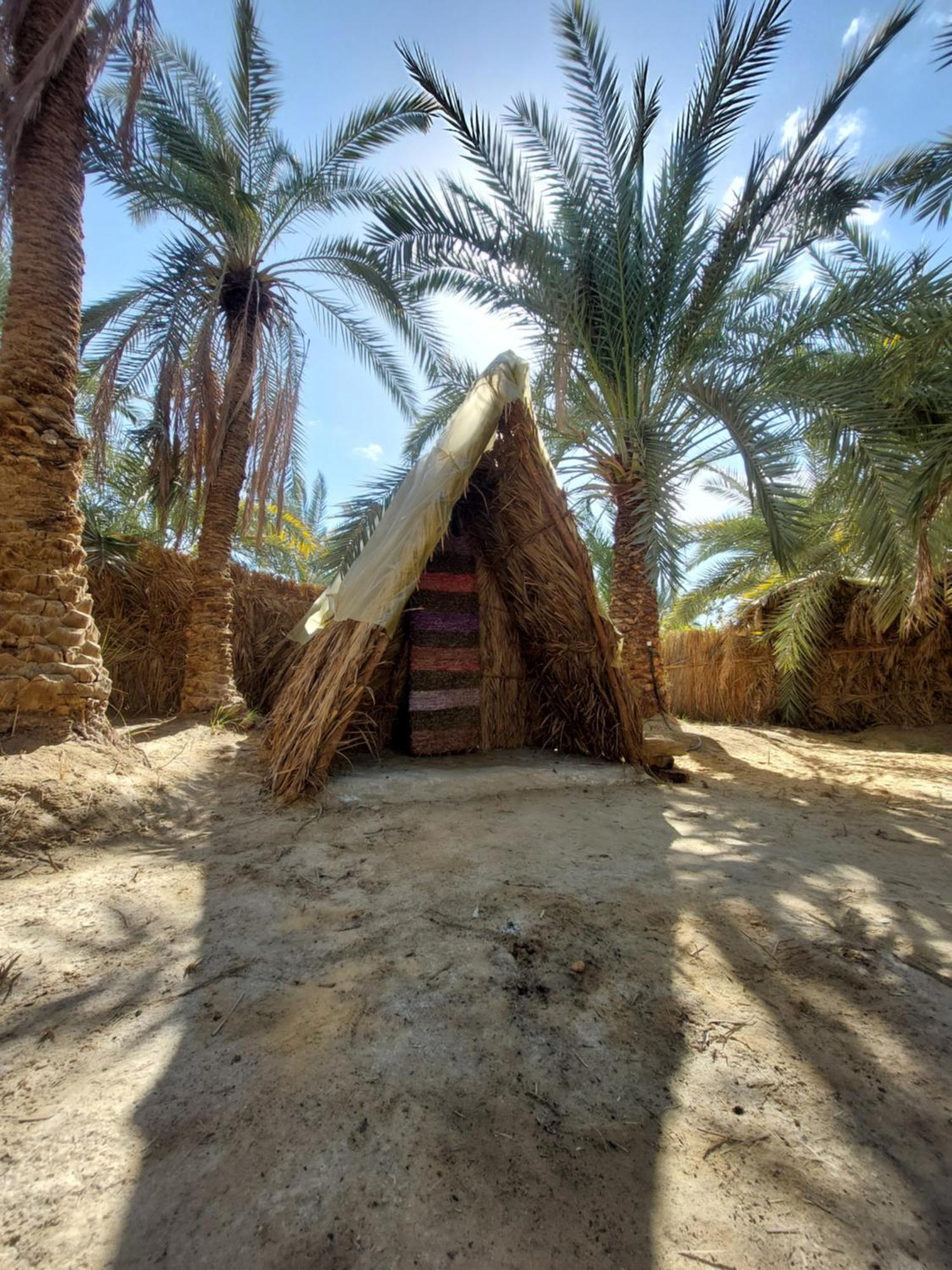 Forest Camp Siwa - كامب الغابة Siwa Oasis Екстер'єр фото