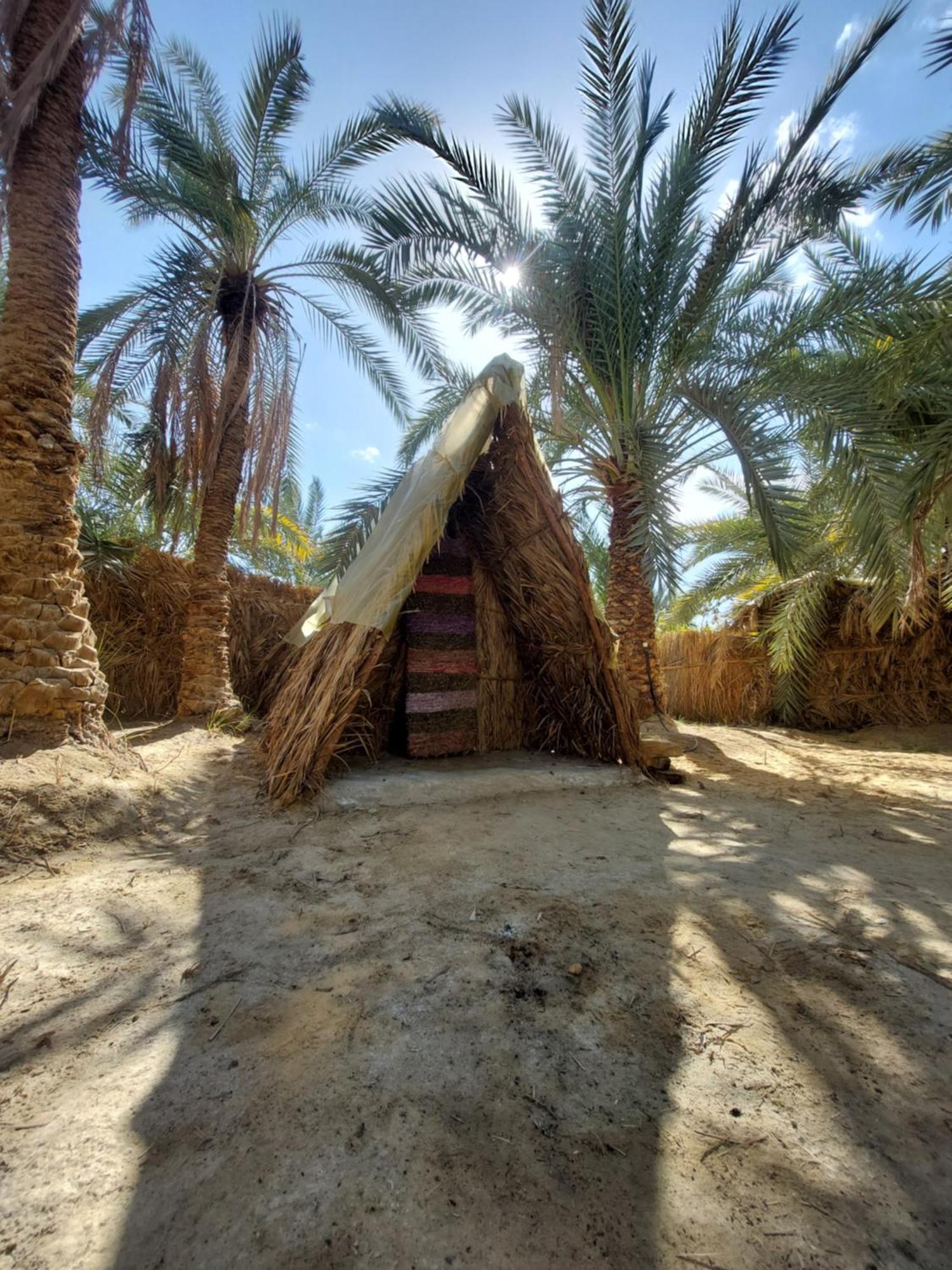 Forest Camp Siwa - كامب الغابة Siwa Oasis Екстер'єр фото