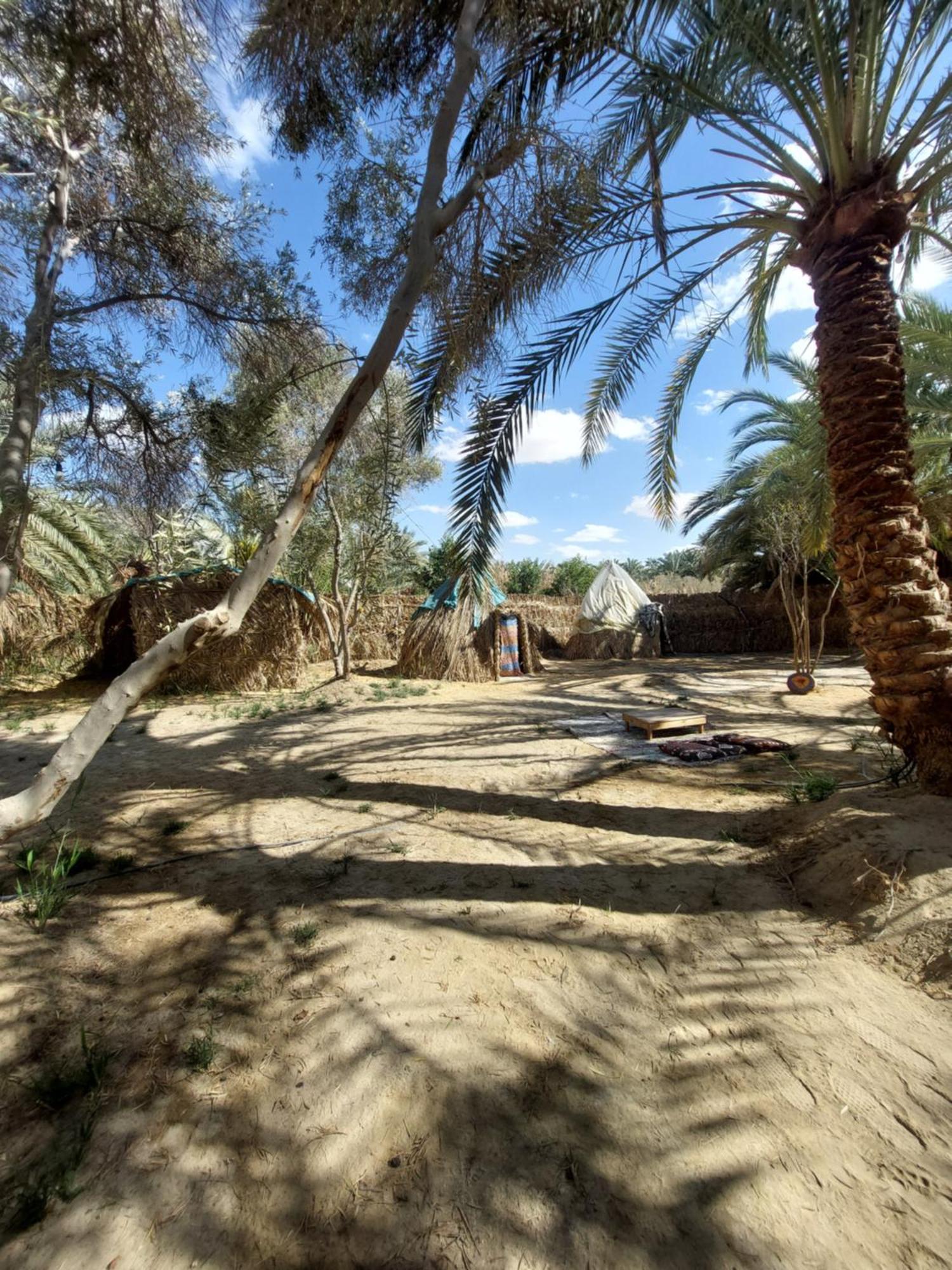 Forest Camp Siwa - كامب الغابة Siwa Oasis Екстер'єр фото