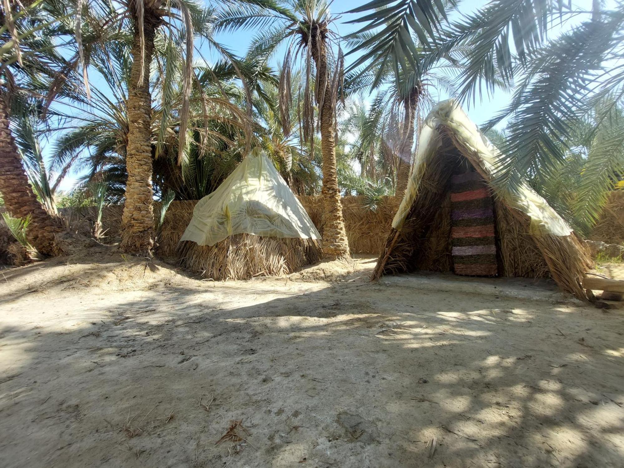 Forest Camp Siwa - كامب الغابة Siwa Oasis Екстер'єр фото