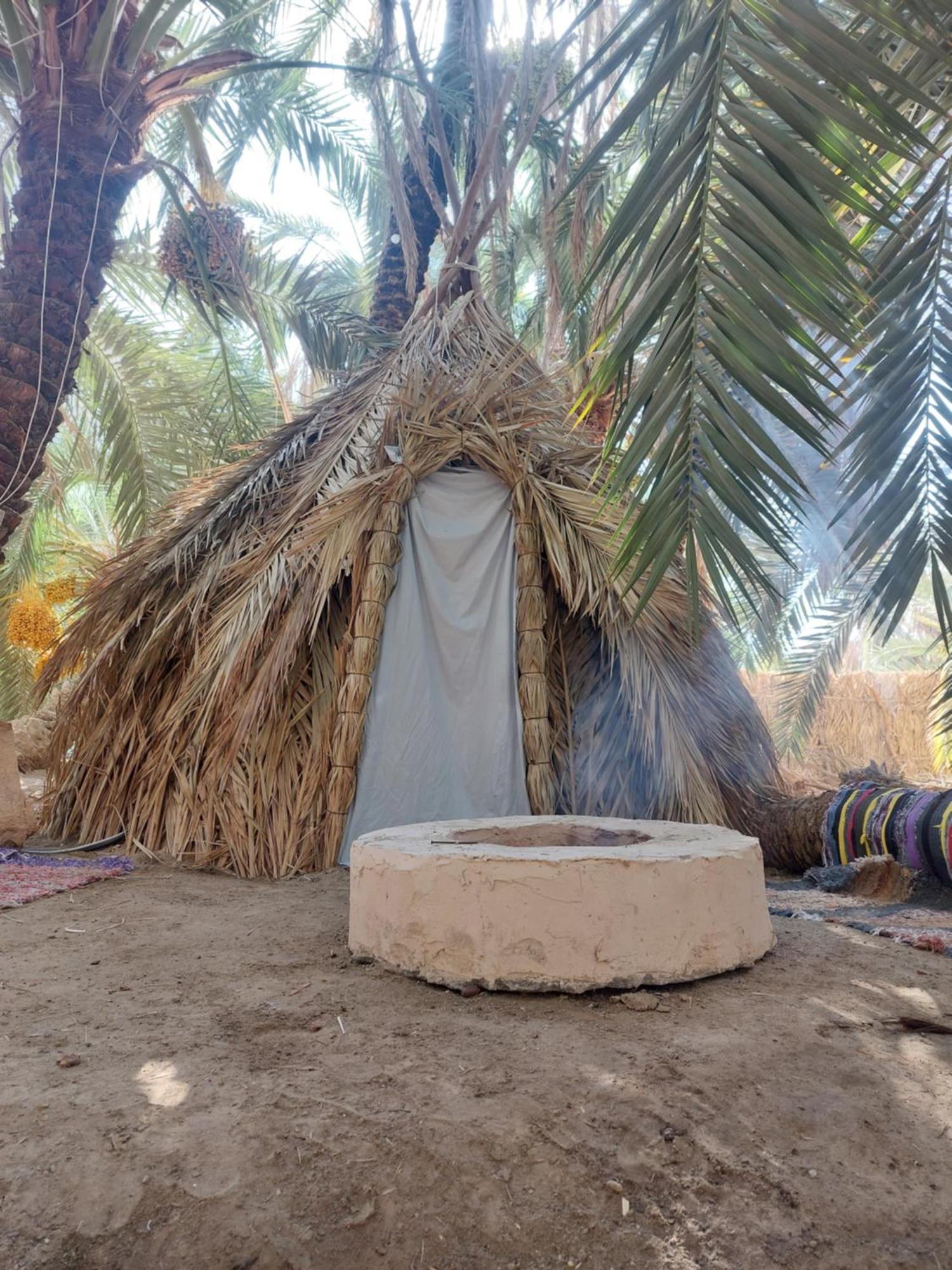 Forest Camp Siwa - كامب الغابة Siwa Oasis Екстер'єр фото