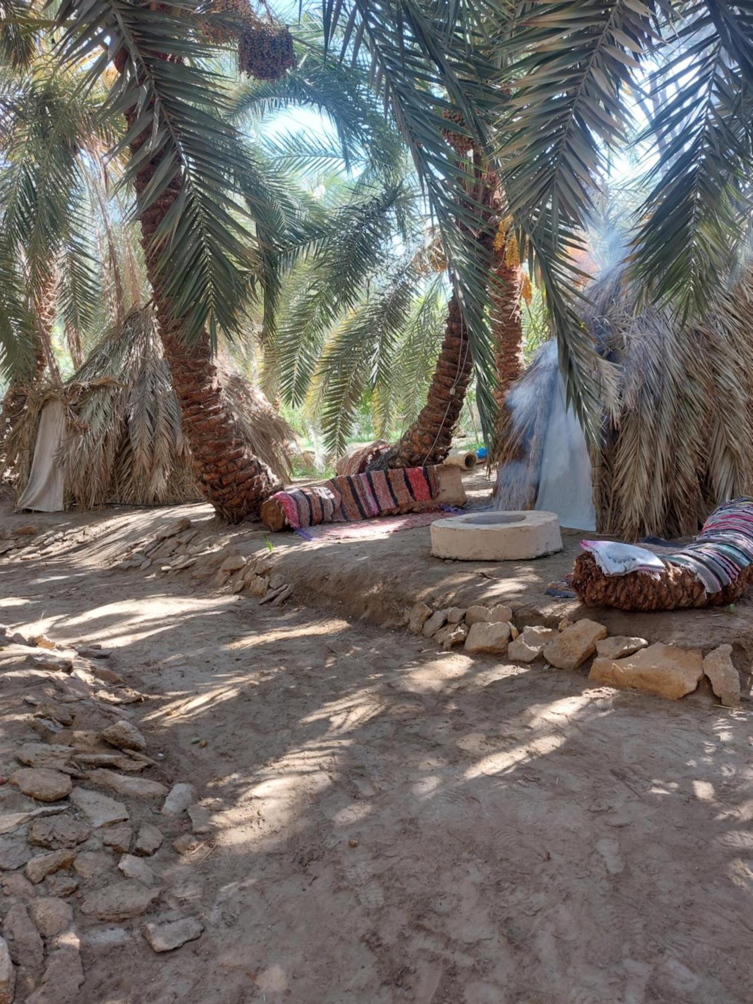 Forest Camp Siwa - كامب الغابة Siwa Oasis Екстер'єр фото