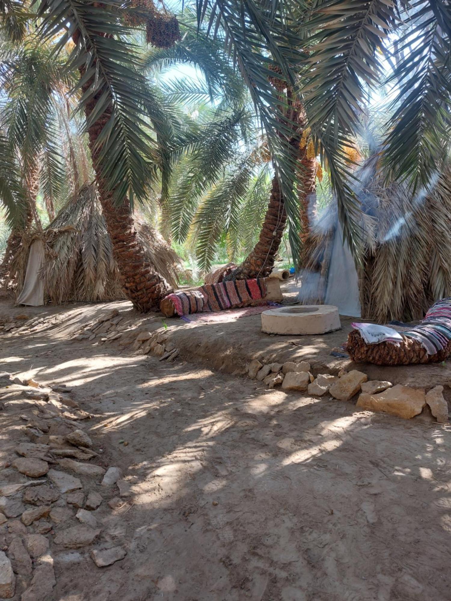 Forest Camp Siwa - كامب الغابة Siwa Oasis Екстер'єр фото