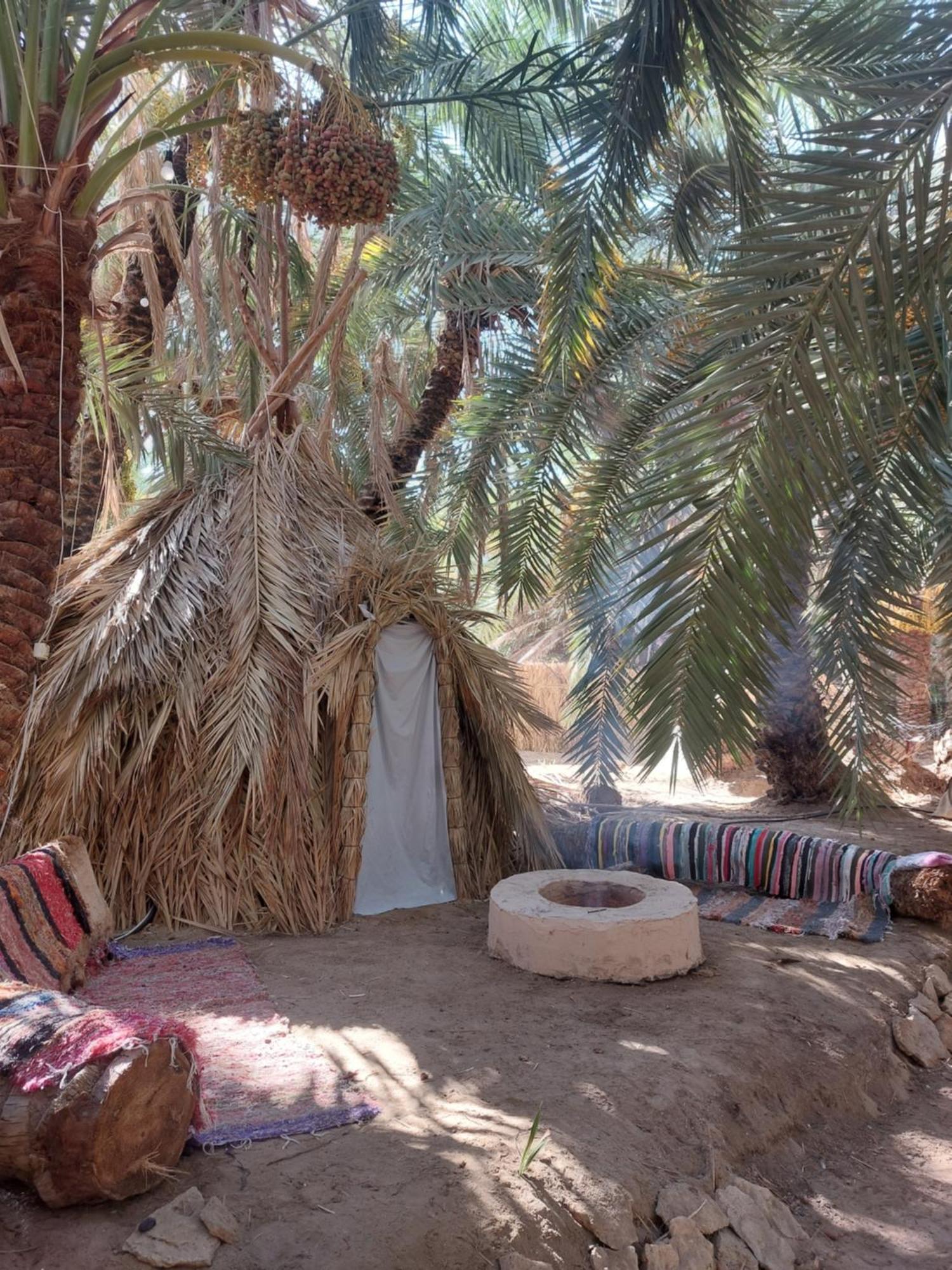 Forest Camp Siwa - كامب الغابة Siwa Oasis Екстер'єр фото