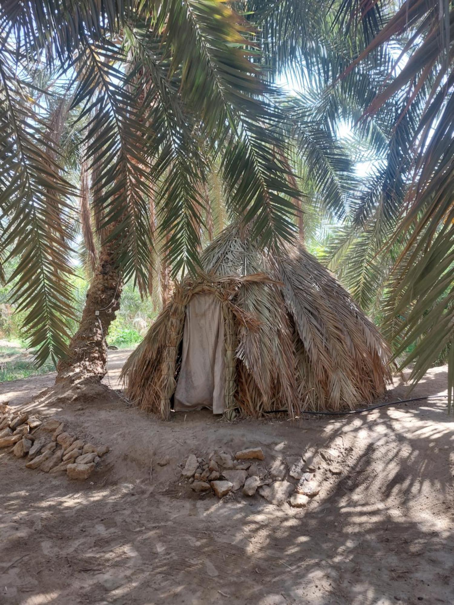 Forest Camp Siwa - كامب الغابة Siwa Oasis Екстер'єр фото