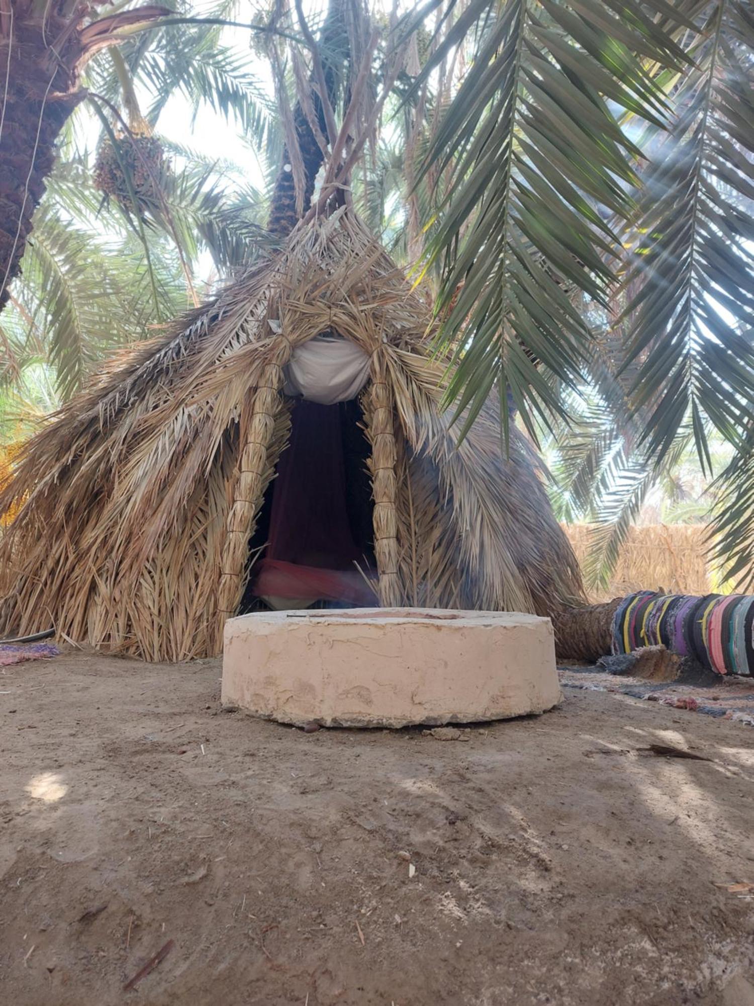 Forest Camp Siwa - كامب الغابة Siwa Oasis Екстер'єр фото