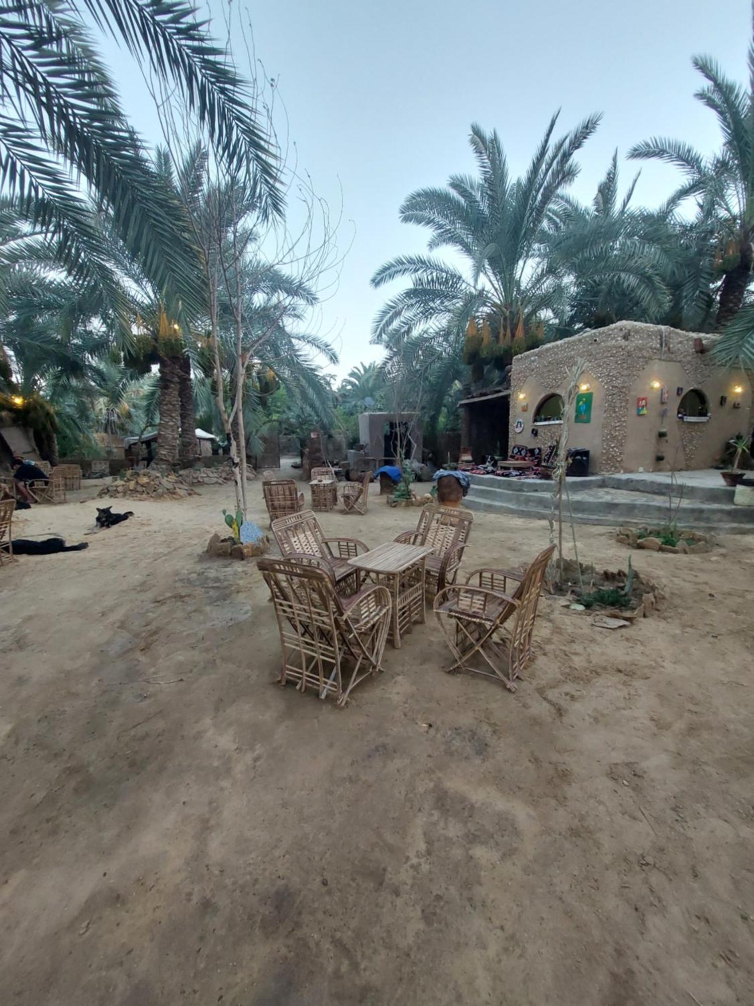 Forest Camp Siwa - كامب الغابة Siwa Oasis Екстер'єр фото