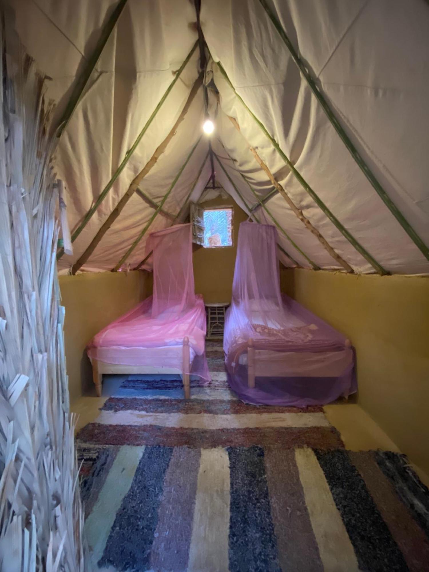Forest Camp Siwa - كامب الغابة Siwa Oasis Екстер'єр фото
