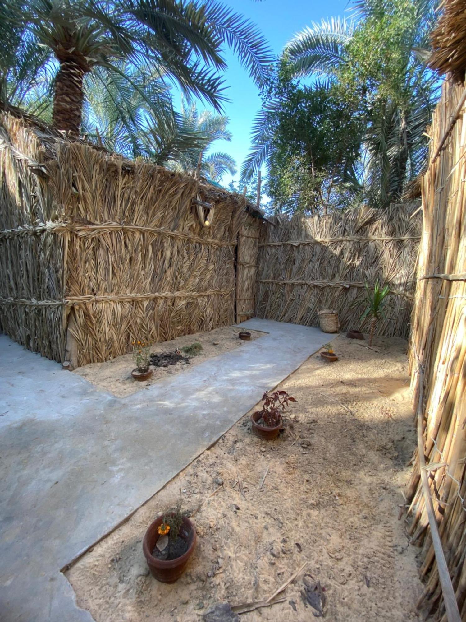 Forest Camp Siwa - كامب الغابة Siwa Oasis Екстер'єр фото
