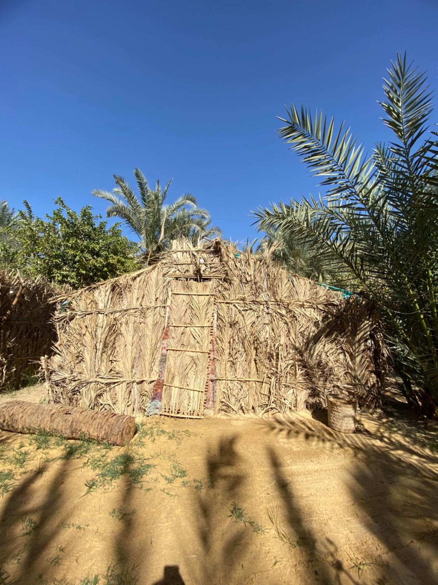 Forest Camp Siwa - كامب الغابة Siwa Oasis Екстер'єр фото