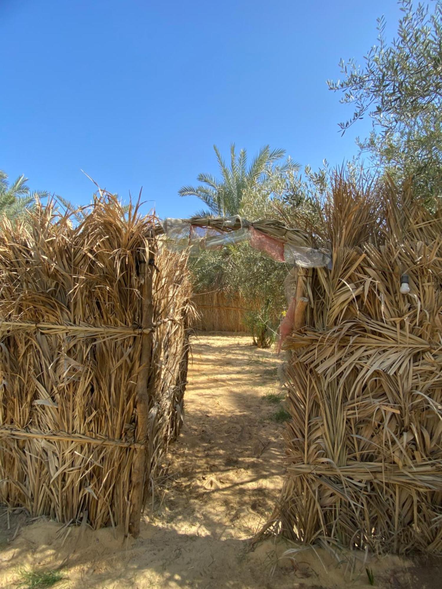 Forest Camp Siwa - كامب الغابة Siwa Oasis Екстер'єр фото