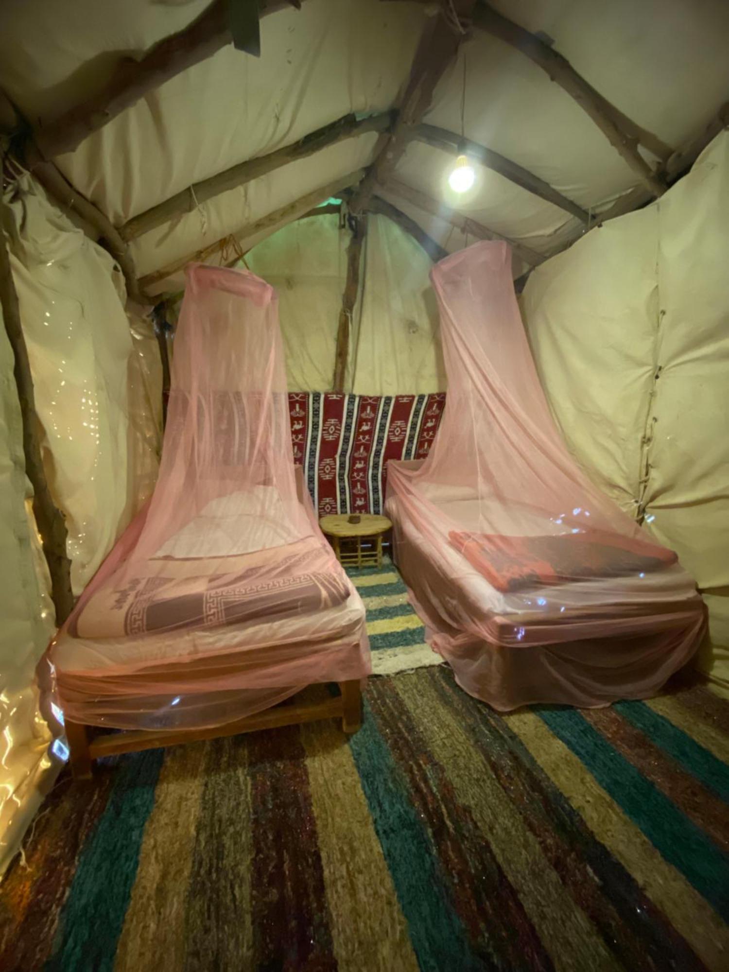 Forest Camp Siwa - كامب الغابة Siwa Oasis Екстер'єр фото