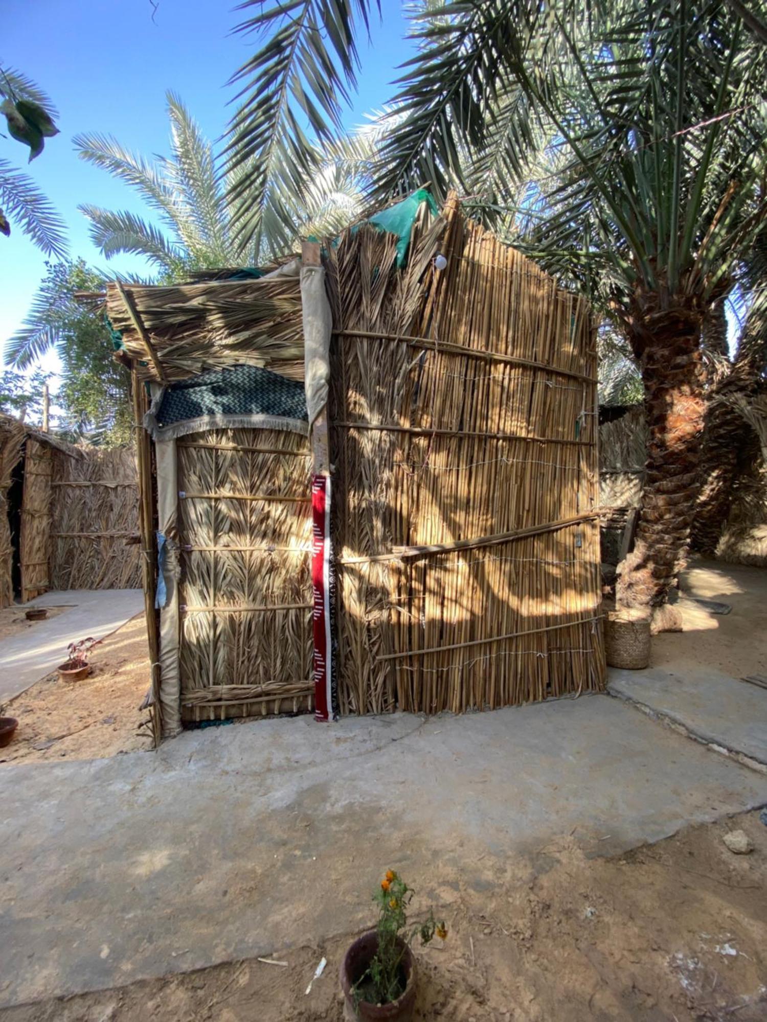 Forest Camp Siwa - كامب الغابة Siwa Oasis Екстер'єр фото
